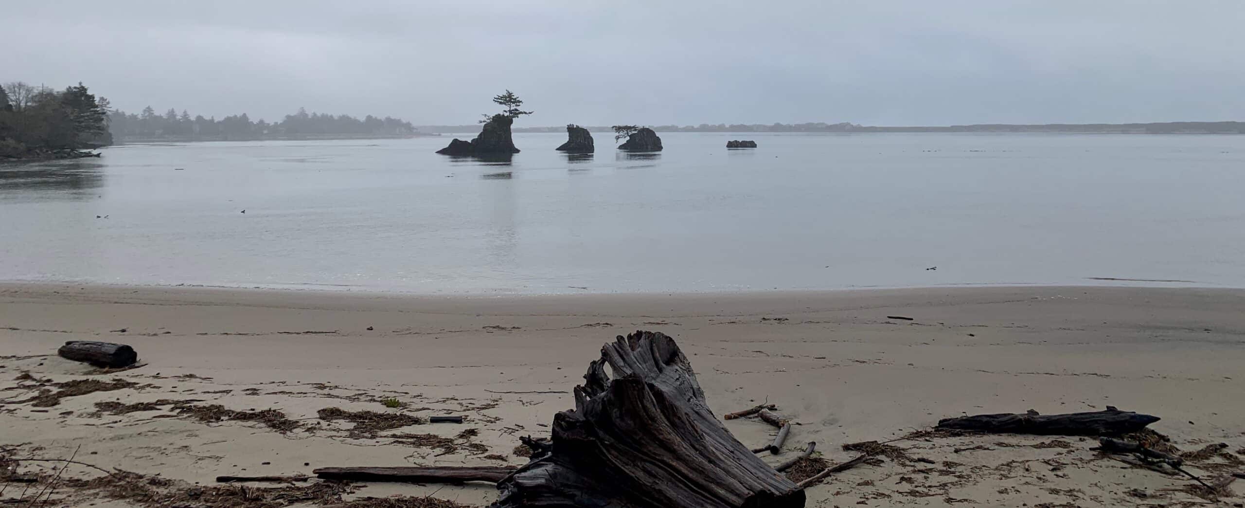 Four rocks in the distance in low tid